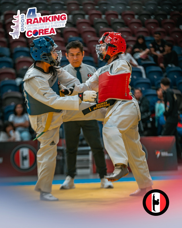 Equipo KUMIHO Taekwondo