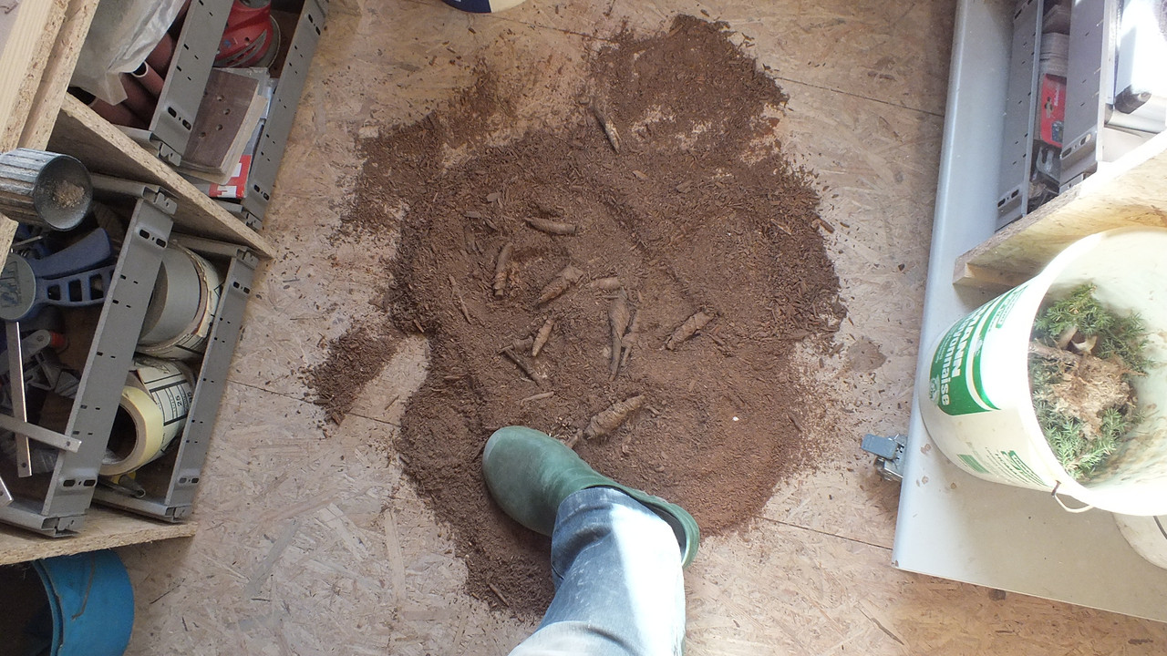 Gehölzrand für Module (12)