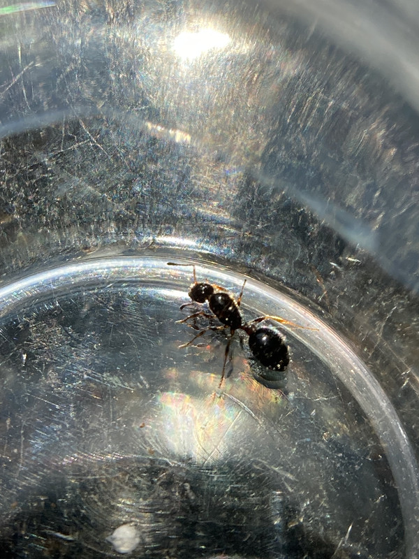 394CD7FD-0FD6-4E55-9887-8DE8FC570F71