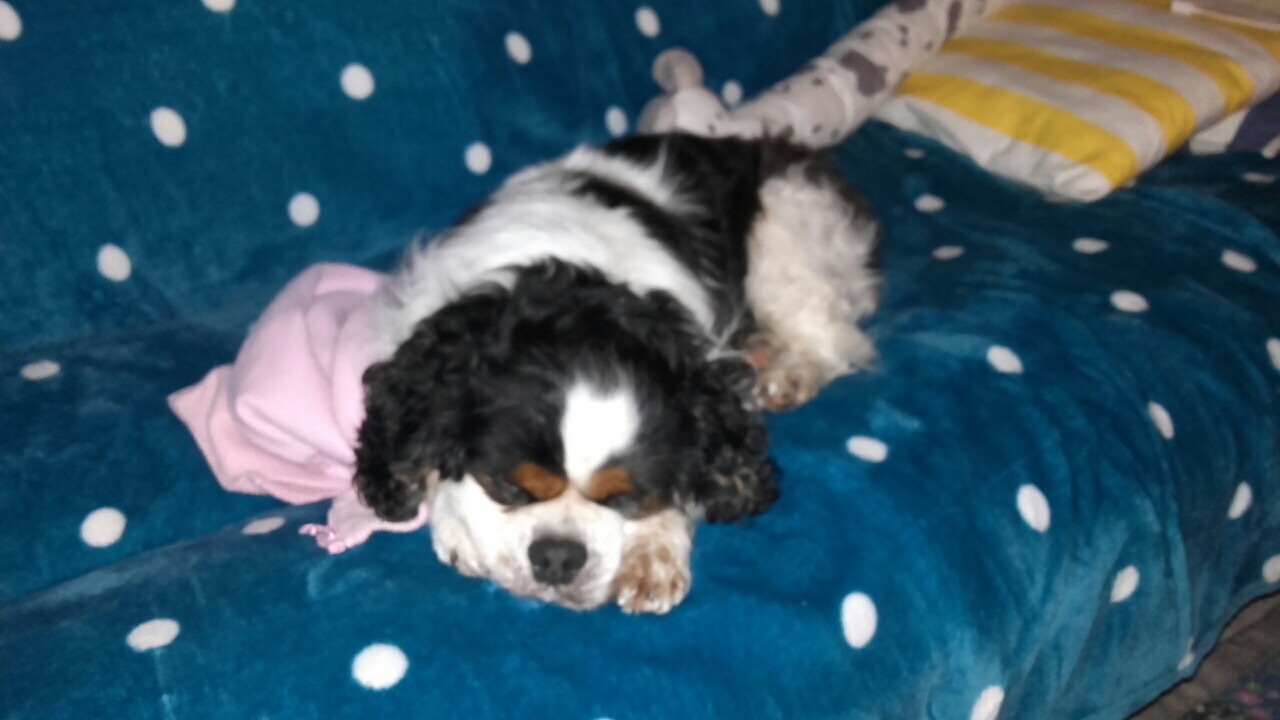 D1270F4B-0B7E-4834-BEC8-A1F07211CF6A