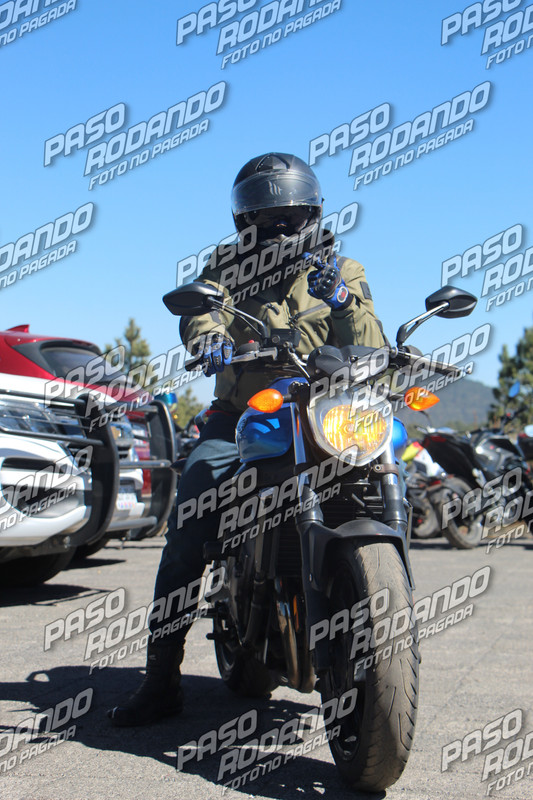 IMG 5320 wm 473744 39999999997 watermarked — Postimages