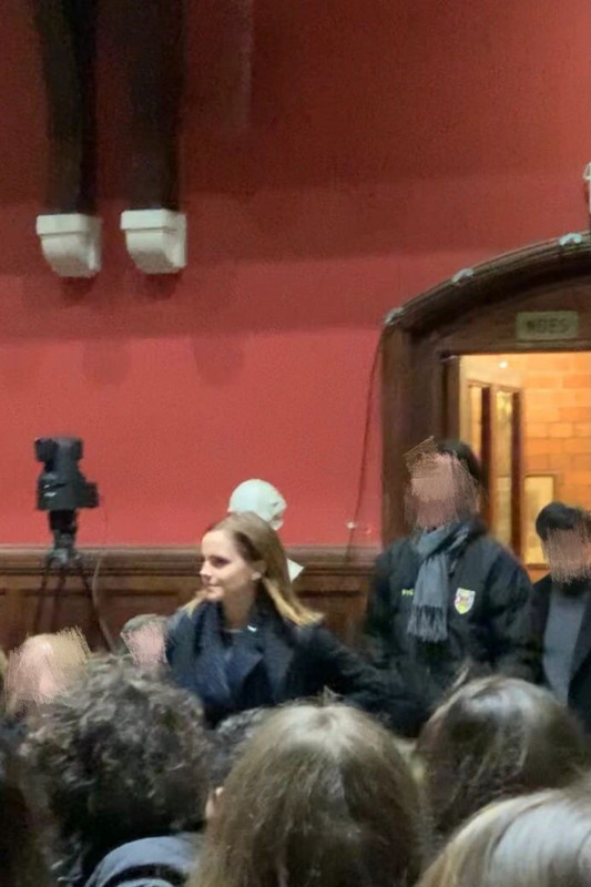 emmawatson-updates.com (1)