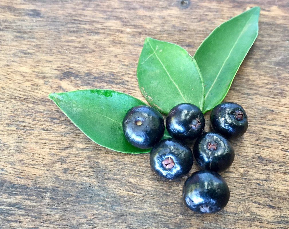 EB8447B2-3D73-4DEF-A4A2-901E7658F7E5