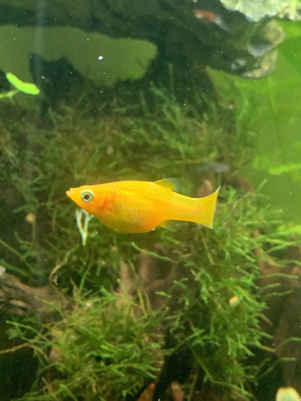 02974CCA-D605-4C26-8646-2E9BF47C22F4