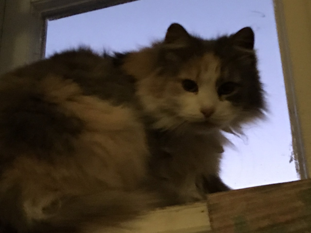 05F30A33-D293-4891-AB5C-B2E23BAA3B07