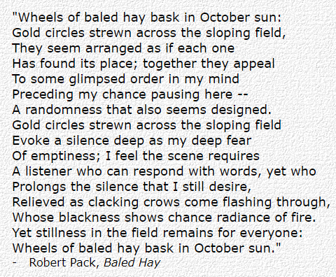 Baled-Hay-quote.jpg