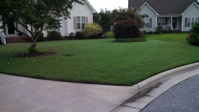 IMG_20140804_092336_009