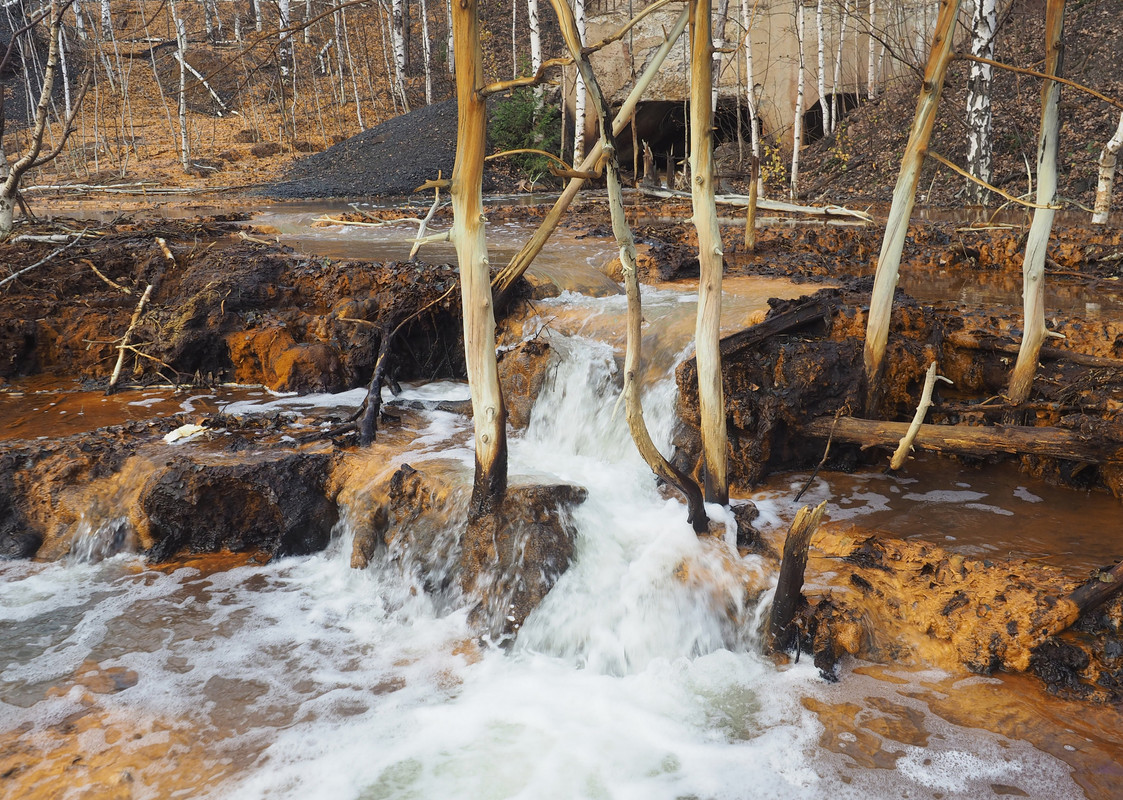 PA062012.jpg