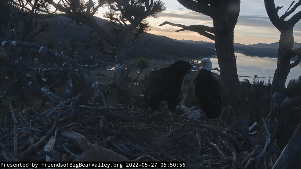 Webp.net-gifmaker (2)