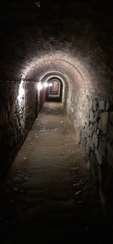 019 - 20200730_144358