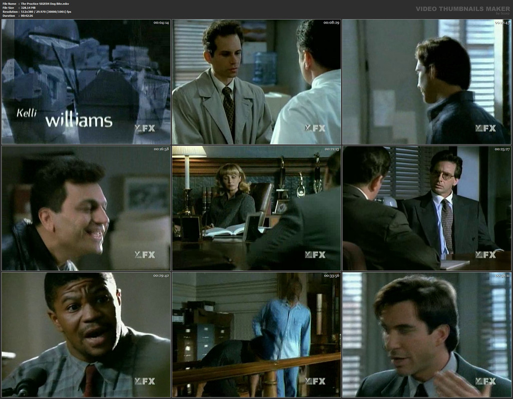 The Practice S02E04 Dog Bite.mkv