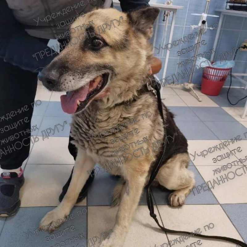 FFE9C8AE-6CD5-40F5-BA55-89651F91BB8A