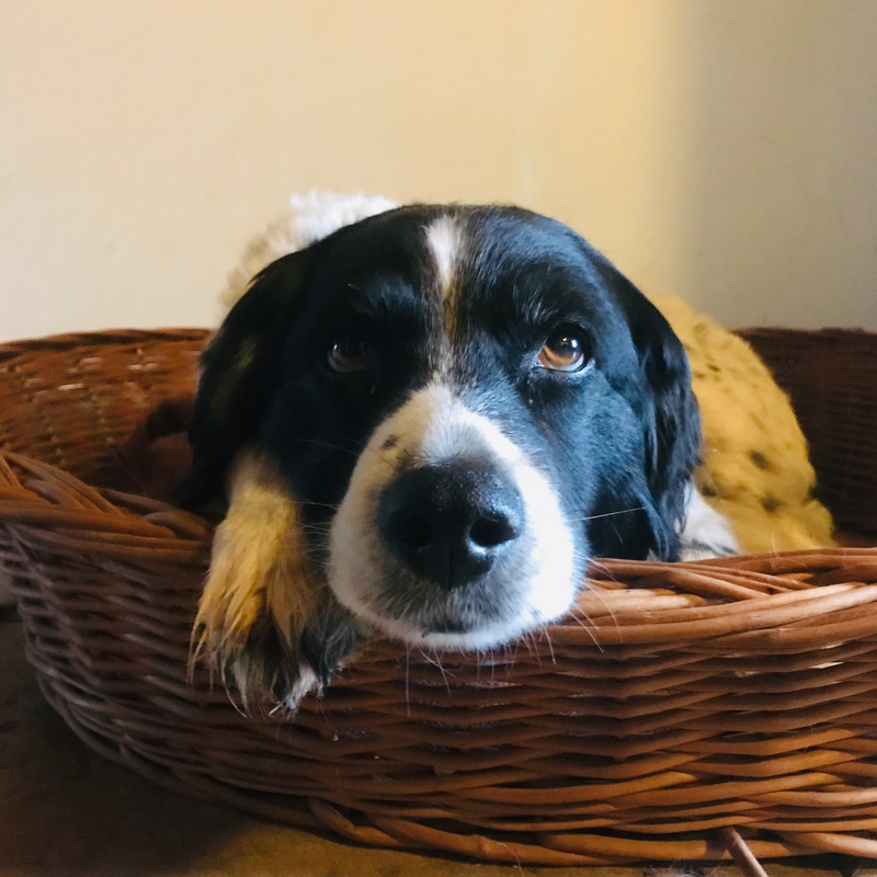 E5B031A1-06D1-411E-AE1F-A2FA7C44B7EE