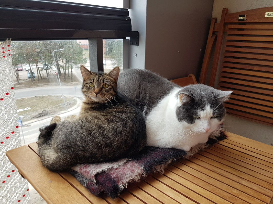 20190223-134248.jpg