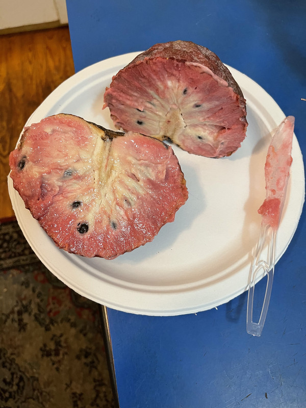 12B06FFE-F438-4AFF-8B0B-55EB6DCD73DE