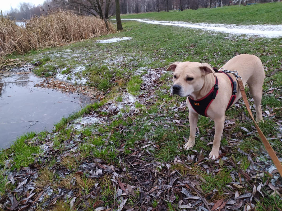 F4D6C24A-7D91-493F-AD28-DF79998F9C08