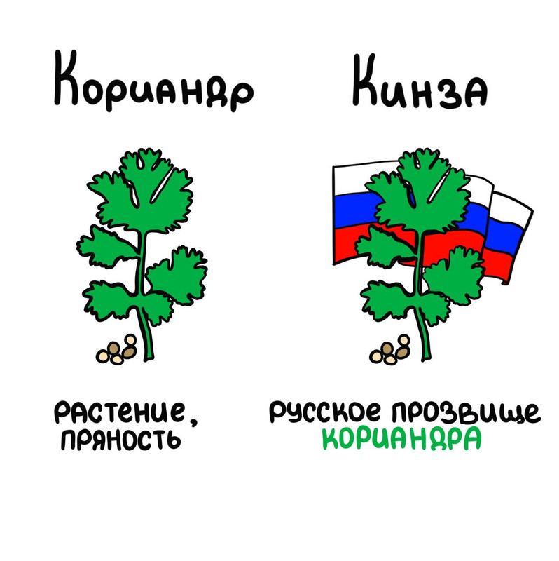 photo_2022-06-25_01-30-05