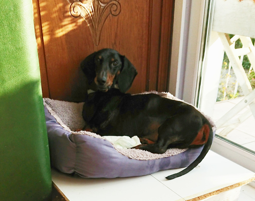 [Image: 20221005-102213.jpg]