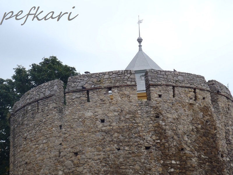 Slika