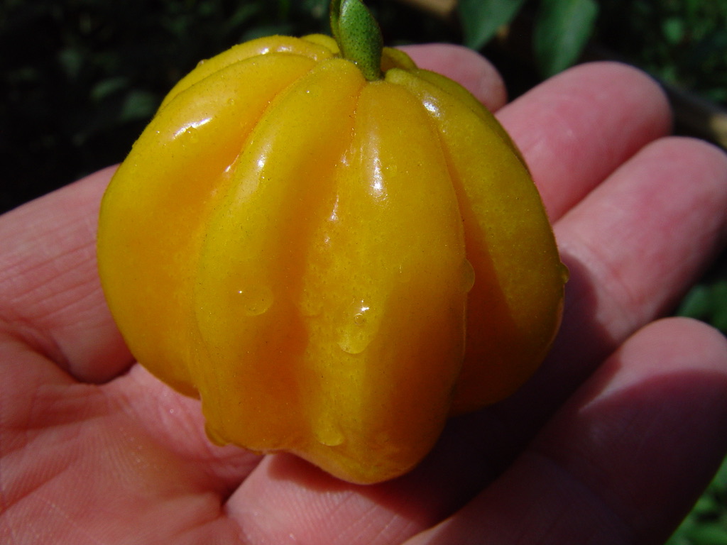 26E024E3-FE7D-44A1-9B61-2EE3A727DBC0_1_105_c