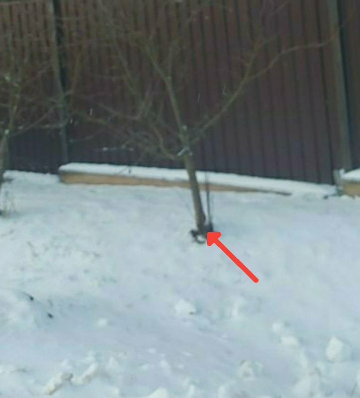 Screenshot 20251224 201315 Vanilla Music