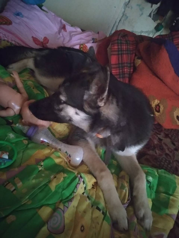 IMG-bd22735b59925ecbcd341aba0e4f5495-V