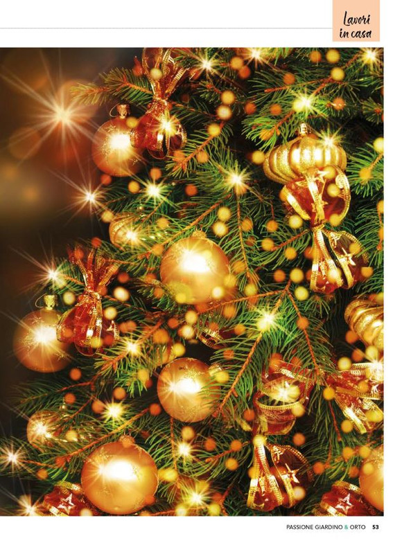 Pass Giar e orto Dic 2025 (4)