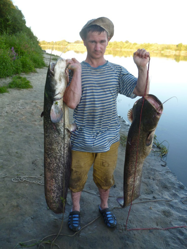 Сергей Кулешов.