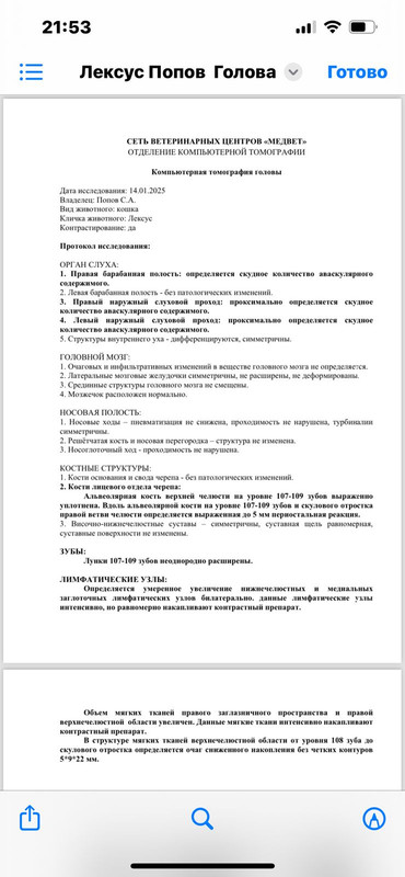 WhatsApp Image 2025-01-19 at 22.13.01 (2)