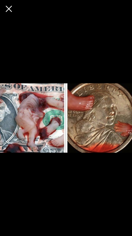 C845E5F8-B905-48F3-8255-4227438E4072