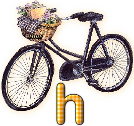 Bici Porta Flores  H
