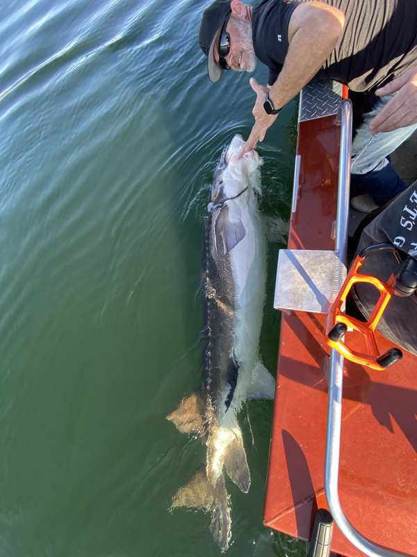 5EB97E68-F4FA-48FA-82AC-3C4D71C76A57