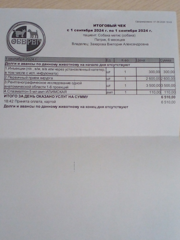 20240901-224210.jpg
