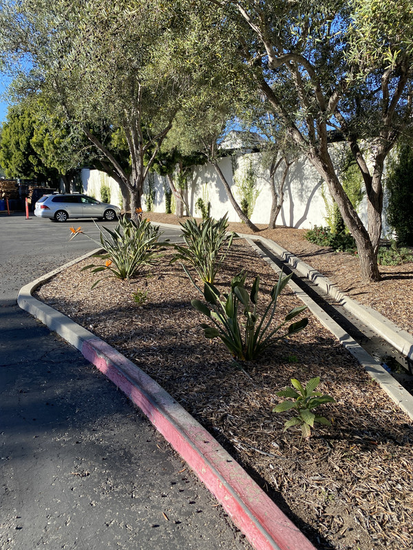 3D2A5AEC-3E09-4DAE-B58A-F0A9B344BB85