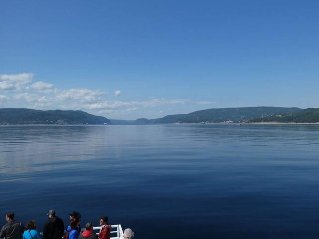 Avistamiento de ballenas, Fiordo de Saguenay y Desbiens - DOS SEMANAS EN EL ESTE DE CANADÁ (ONTARIO Y QUÉBEC) (10)