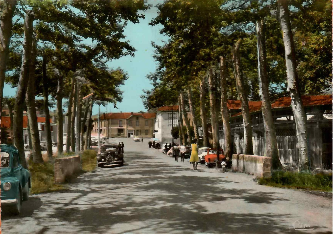 Estang (32) rue principale