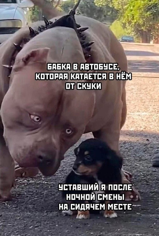 [Изображение: c2f2dcffe46a3f9e0794107b6cf8bbe2.jpg]