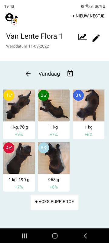 Afbeelding