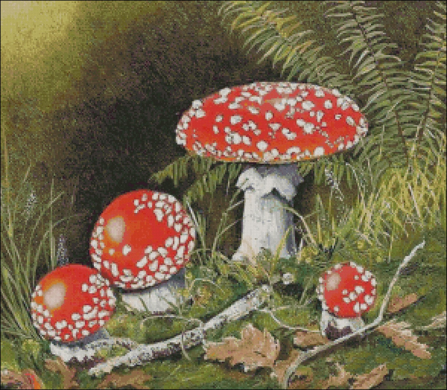 mukhomory