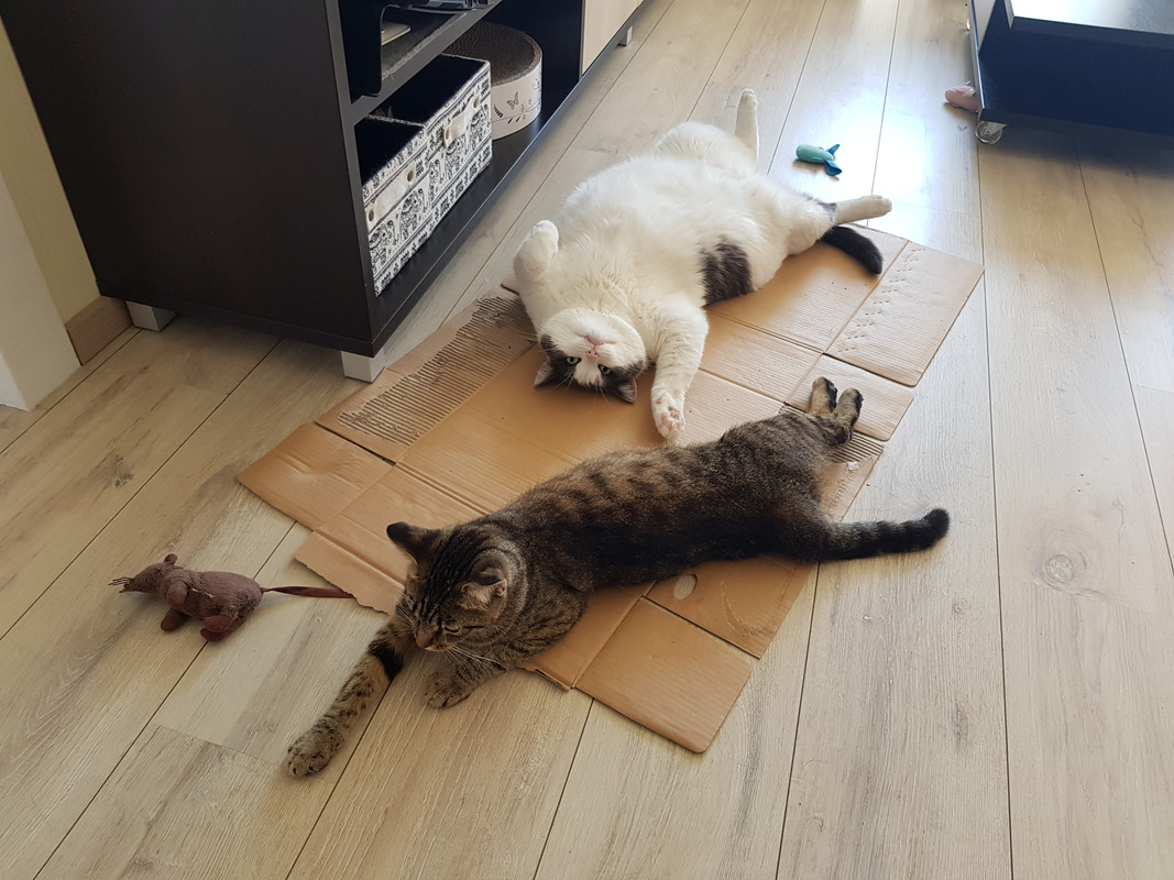 20190609-113107.jpg