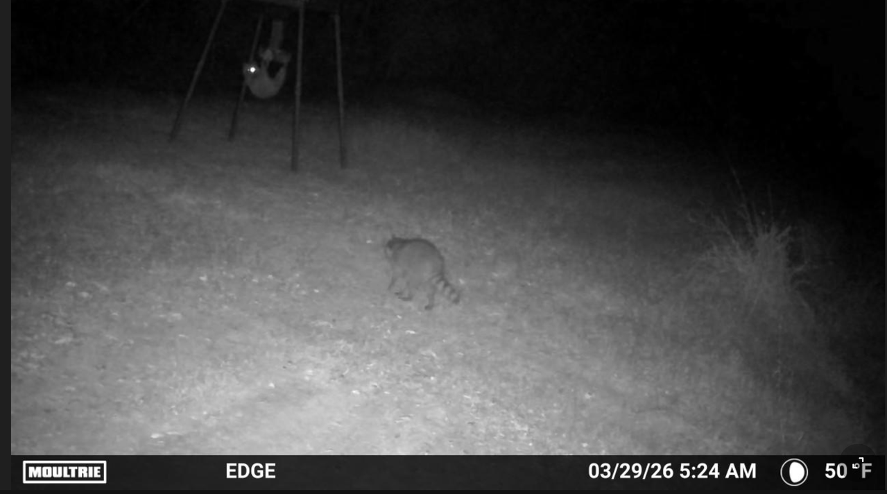 Screen Shot 2026 03 29 at 3 08 58 PM