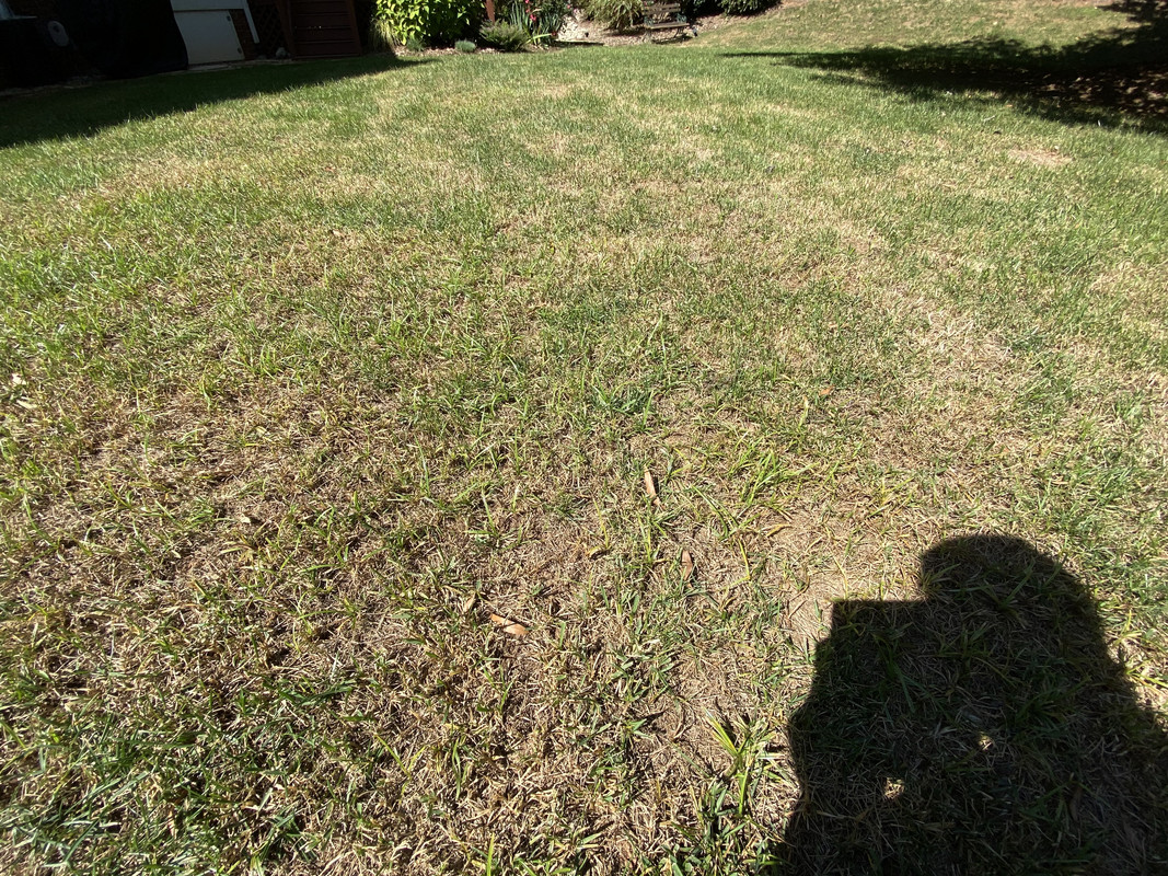 7CB90C65-4671-46BE-B3B0-26C6F209B251