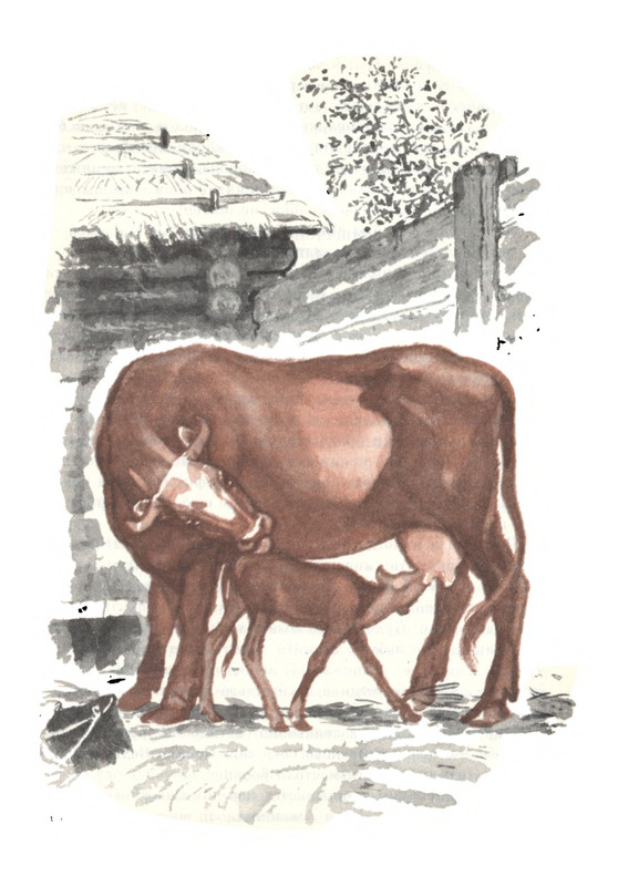 Rabinin-Boris-Chudesa-v-reshete-page-0099