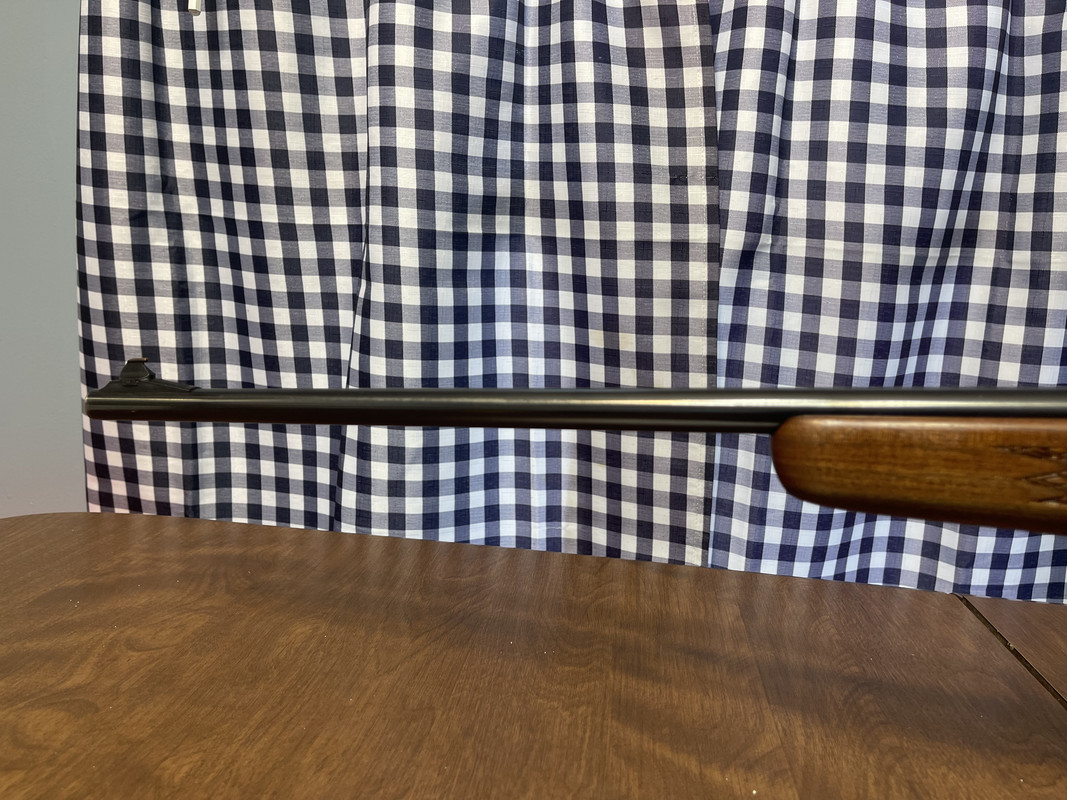 9646B576-7947-4150-B155-957945F533E6