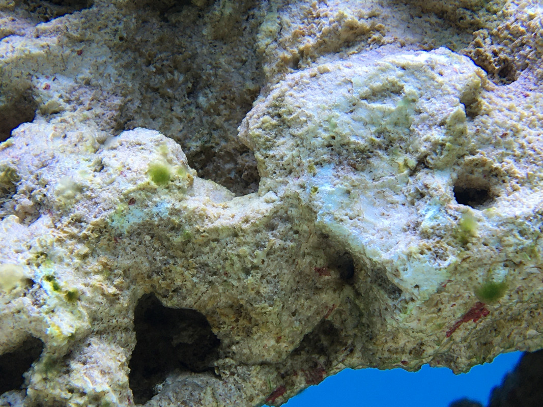 BB43C4B8-3EC7-44D1-9763-C3B0F2B847CB