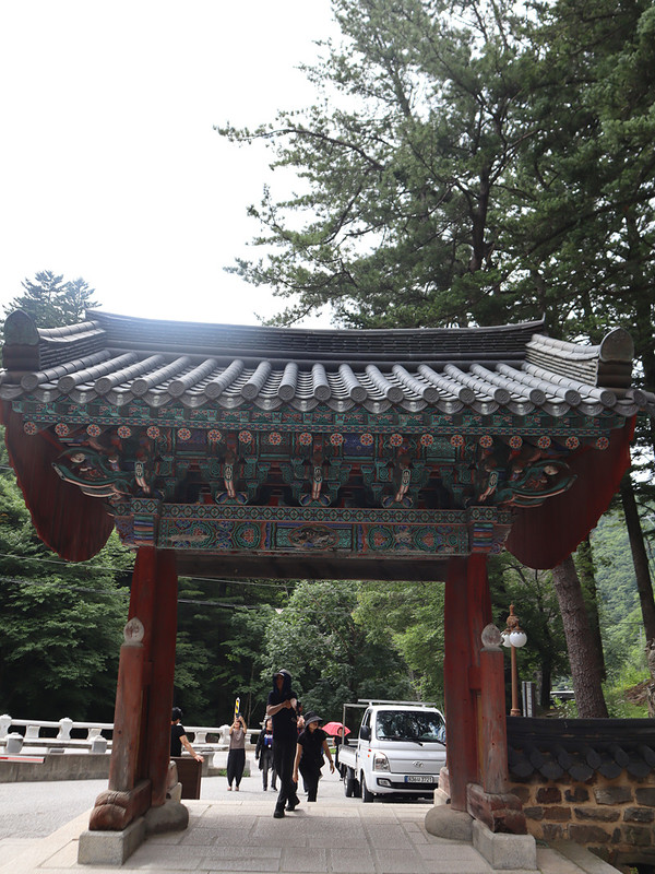 IMG-3224