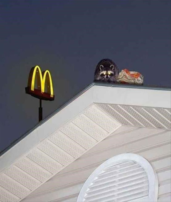 IMG-0021.jpg