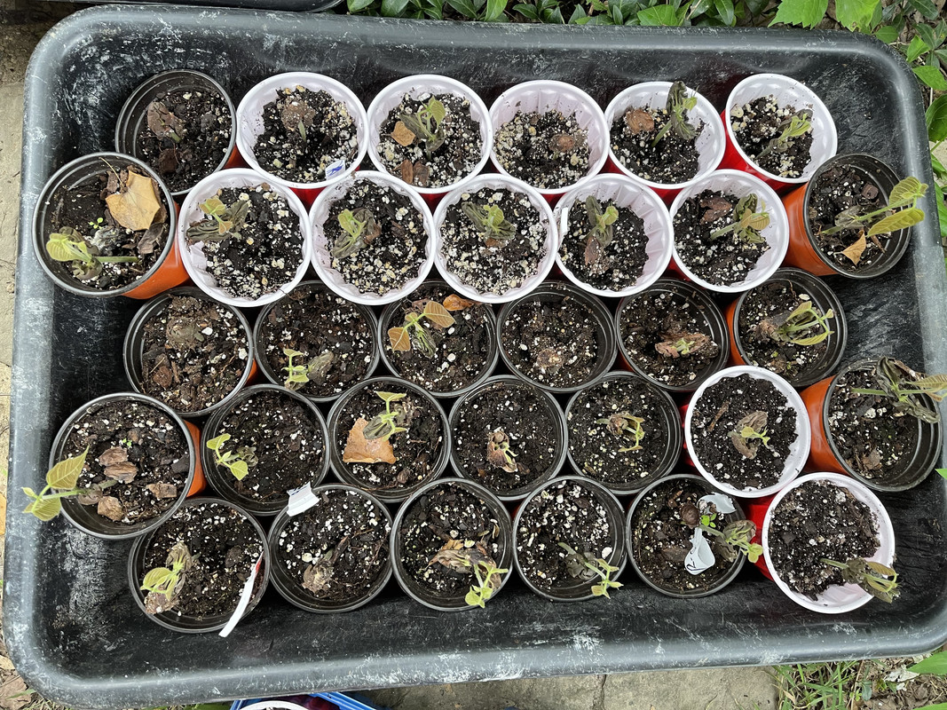 1C3AA9F1-0D29-48A3-9B33-D871FC30D053