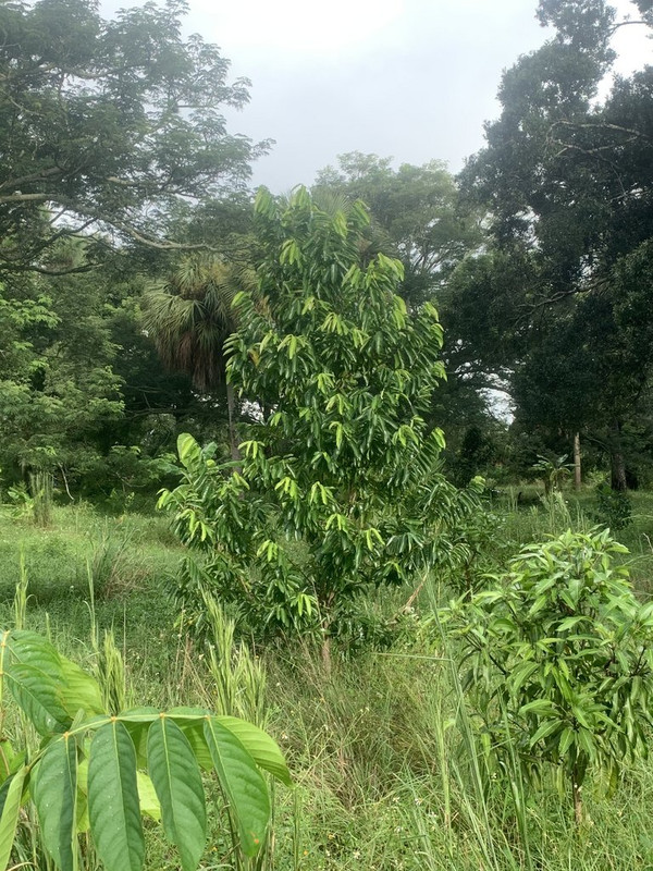 41697B8B-3E40-47DC-95D9-A82ACA784B27