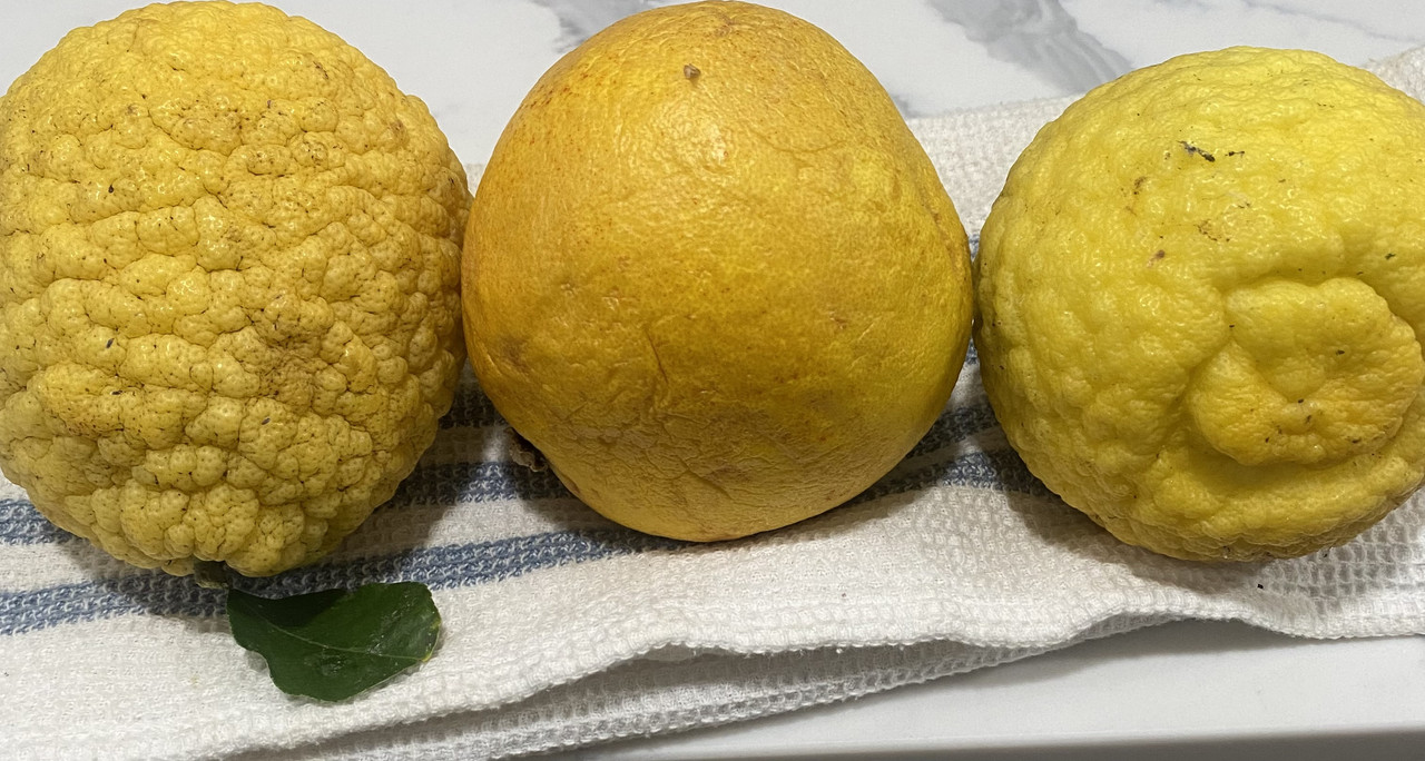 D72054D1-3E0E-4AEF-97B4-7FA57222EC1A